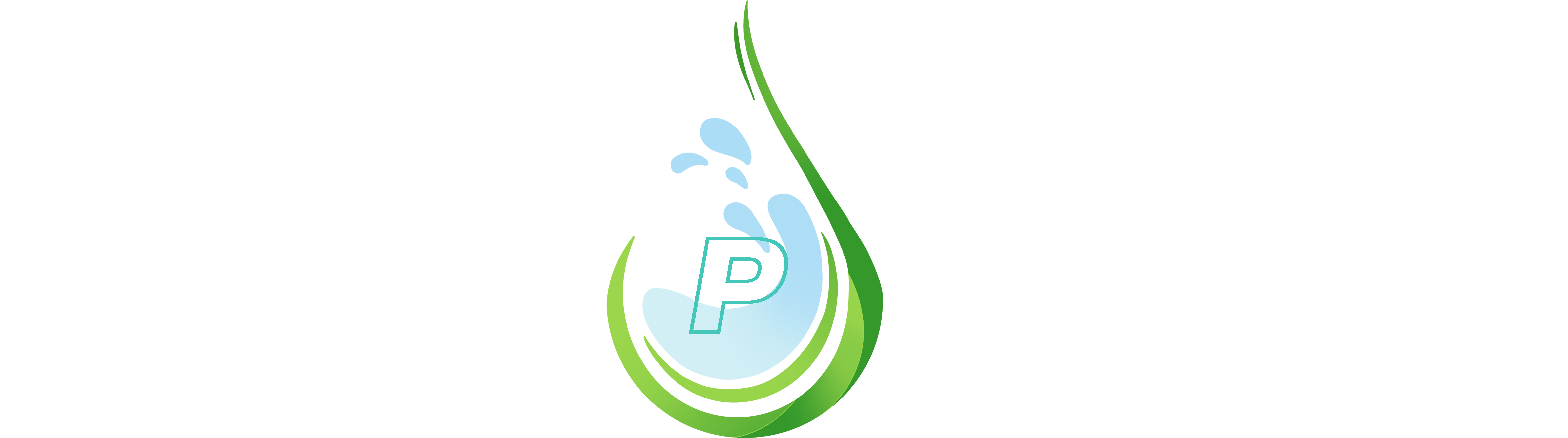 Logo for Premier Cleaners featuring a stylized green droplet with a black and white design in the center and bold white text on either side.