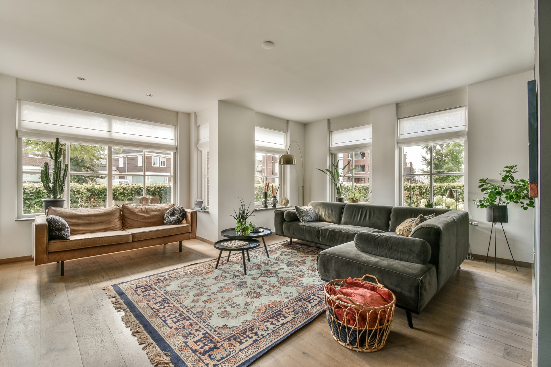 Bright living room with two sofas, a patterned rug, coffee table, and assorted plants. Large windows allow natural light.